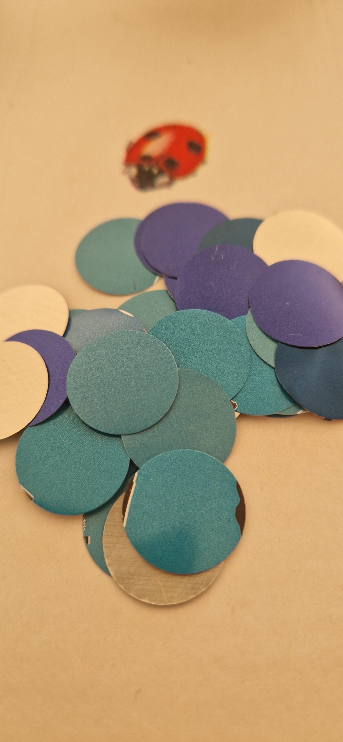 Noël Scintillant – Image 5