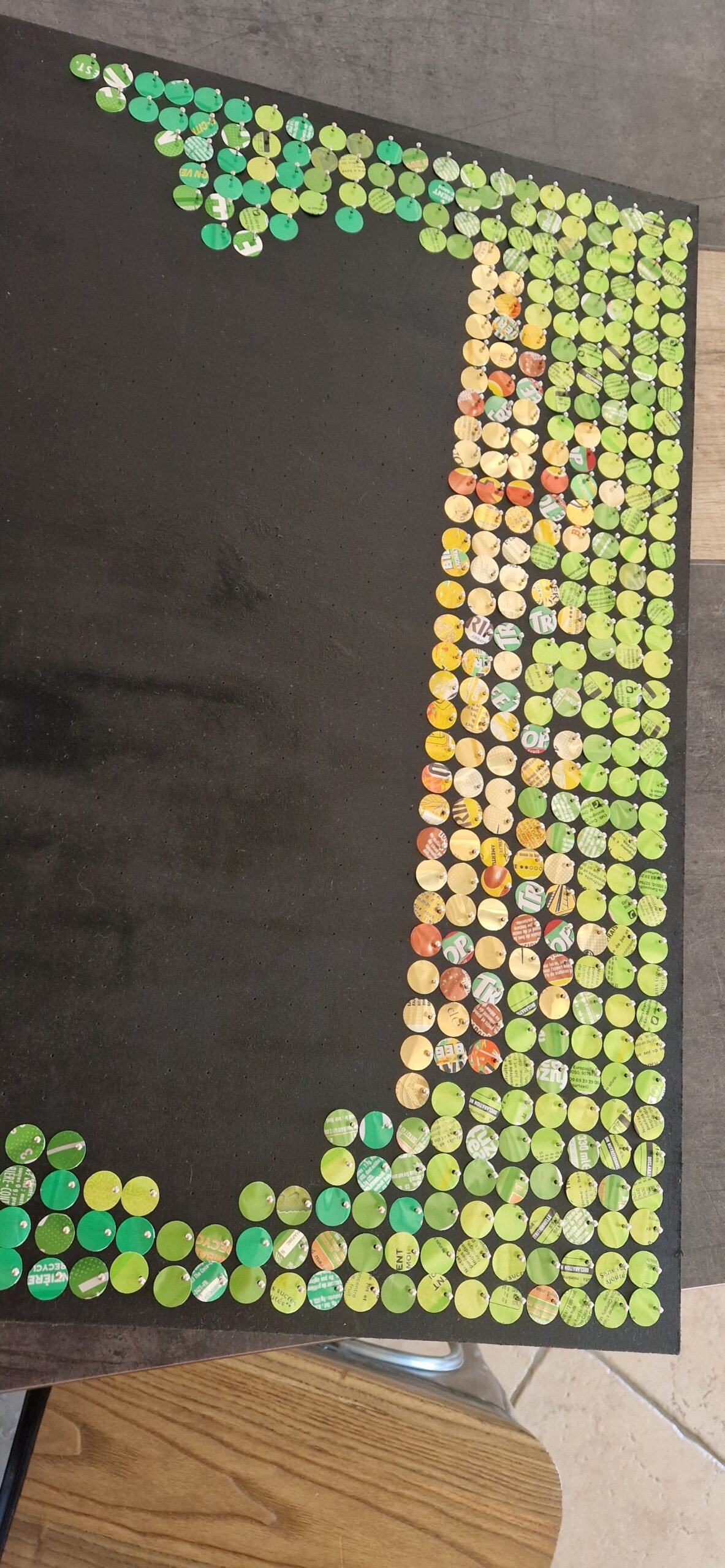 Reflets majestueux – Image 9